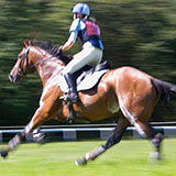  Jockey 