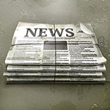 Journalist 