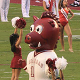  Mascot 