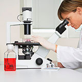  Scientist 