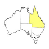  Queensland 