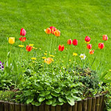  Flowerbed 