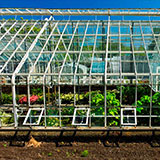  Greenhouse 