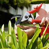  Horticulture 