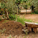  Manure 