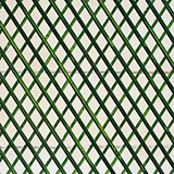  Trellis 