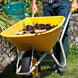 Wheelbarrow 