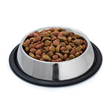  Pet Food 