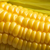  Sweetcorn 