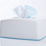  Wet Wipes 