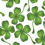  Clover 