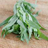 Tarragon 