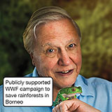  Attenborough 