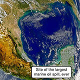  Gulfofmexico 