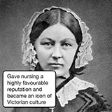  Nightingale 