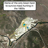  Yellowstone 