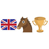  Grand National 