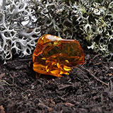  Amber 