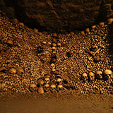  Catacombs 
