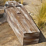  Coffin 