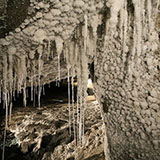  Salt Mine 