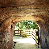  Tunnel 