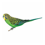  Budgie 