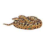  Cuban Tree Boa 