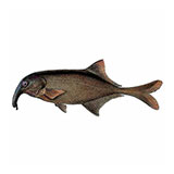  Elephantfish 