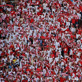  Fans 