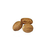  Nutmeg 