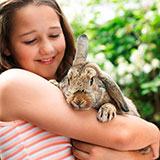  Rabbit 