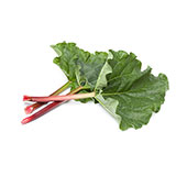  Rhubarb 