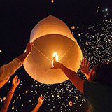  Chinese Lantern 