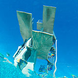  Diving Board 