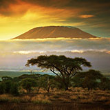 Kilimanjaro 