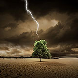  Lightning 