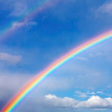  Rainbow 