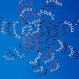  Skydivers 