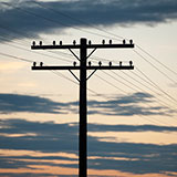  Telephone Pole 