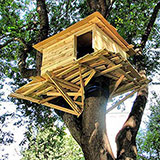  Treehouse 