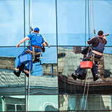  Window Cleaners 