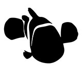  Nemo 