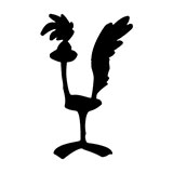  Road Runner 