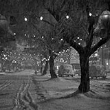  Bedford Falls 