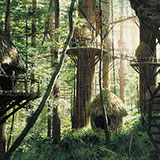  Ewok Village 