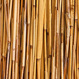 Bamboo 