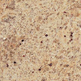  Granite 