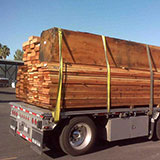  Red Cedar 