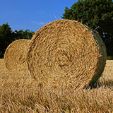  Straw 